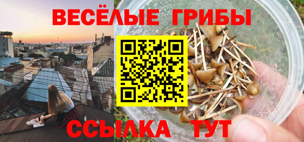 Псилоцибиновые грибы прущие грибы  Вход с VPN  магазин    Галлюциногенные грибы прущие грибы  Губаха 