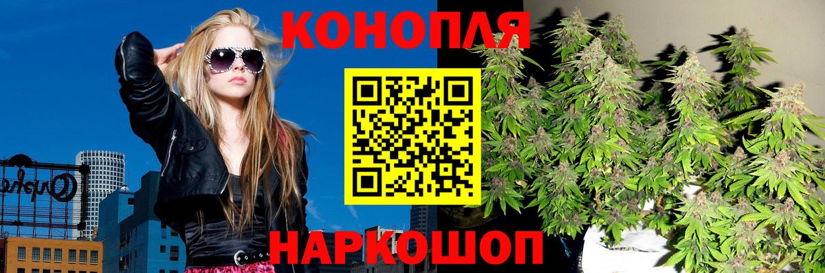 Бошки марихуана VHQ Губаха
